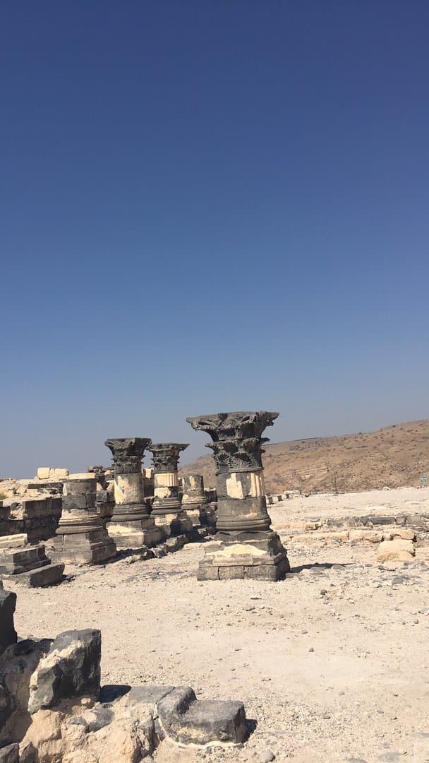 Golan Heights with a Licensed Guide image 4